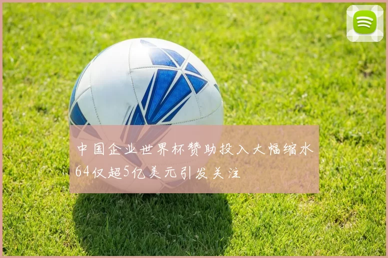 中国企业世界杯赞助投入大幅缩水64仅超5亿美元引发关注